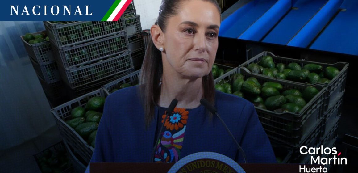 Sheinbaum alista plan de seguridad y diálogo con EE. UU. tras suspensión de exportación de aguacate