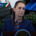 Sheinbaum alista plan de seguridad y diálogo con EE. UU. tras suspensión de exportación de aguacate