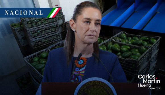 Sheinbaum alista plan de seguridad y diálogo con EE. UU. tras suspensión de exportación de aguacate