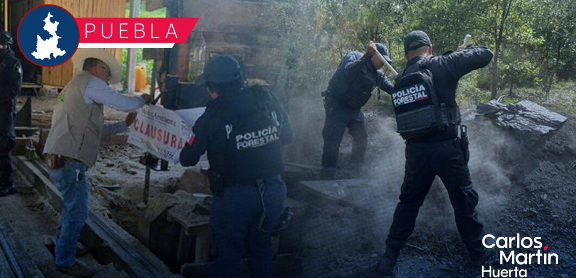 Inhabilitan hornos clandestinos y clausuran aserradero ilegal en tres municipios de Puebla