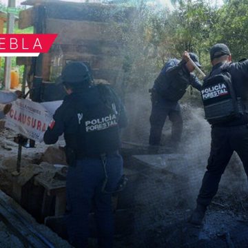 Inhabilitan hornos clandestinos y clausuran aserradero ilegal en tres municipios de Puebla