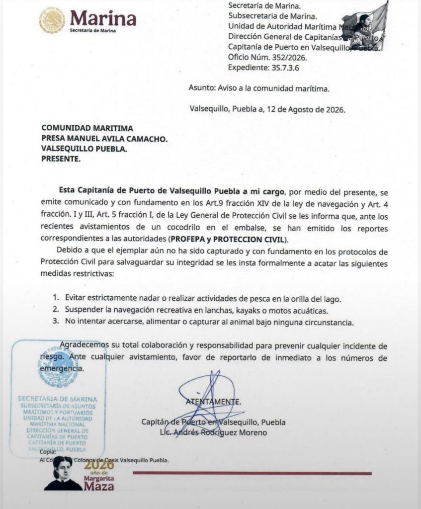 Cocodrilo en Valsequillo
