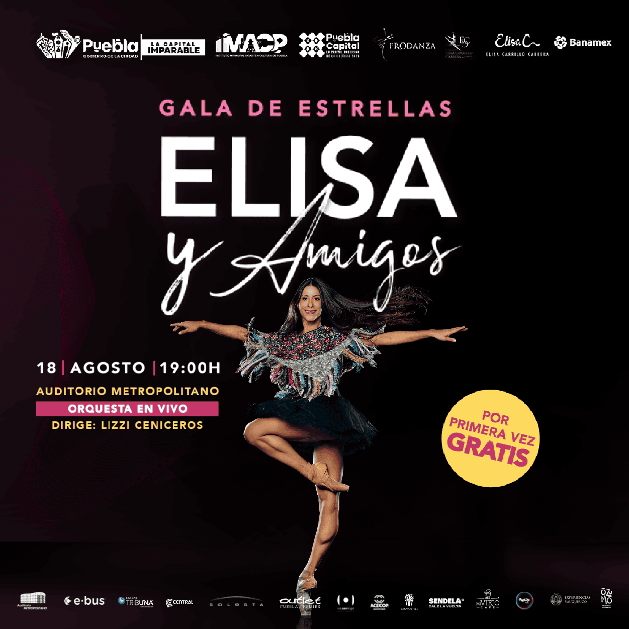 ELISA Y AMIGOS BANNERS WEB 300X300