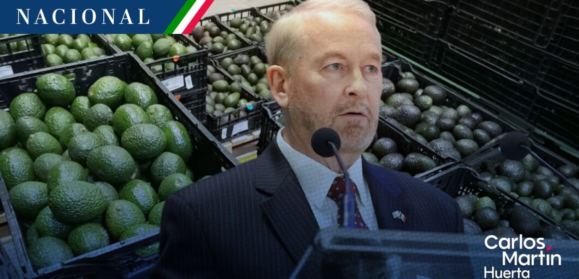 Enbajador Ronald Johnson - aguacate Estados Unidos reanuda por completo sus actividades en Michoacán