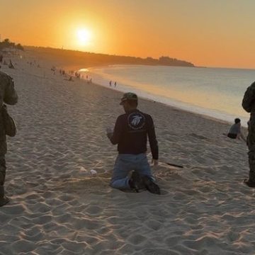 Recuperan 10 mil huevos de tortuga golfina en Los Cabos
