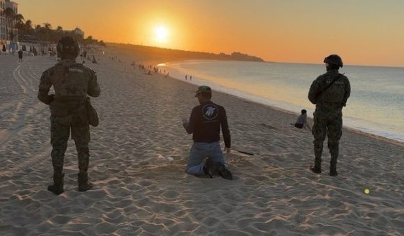 Recuperan 10 mil huevos de tortuga golfina en Los Cabos