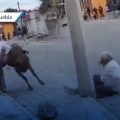 Adulto mayor es embestido por un toro en Atoyatempan