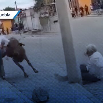 Adulto mayor es embestido por un toro en Atoyatempan