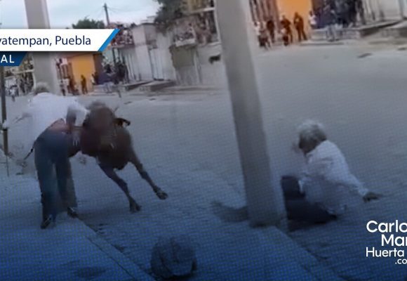 Adulto mayor es embestido por un toro en Atoyatempan