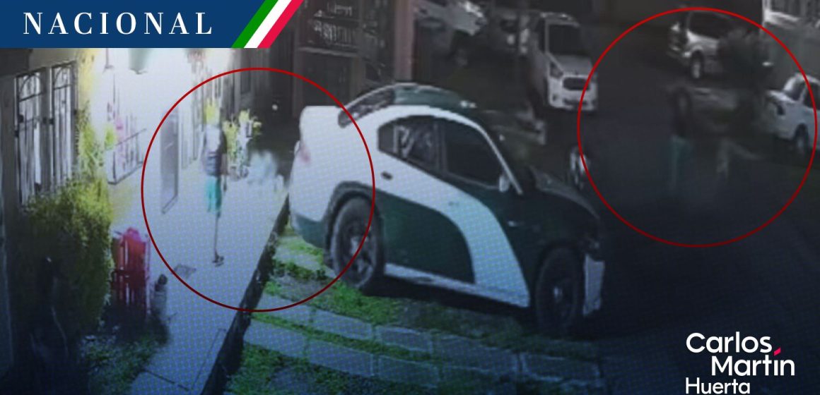 Perro Güero Tecámac - instructor de tiro Buscan a instructor de tiro por matar a balazos a perro “Güero” en Tecámac