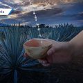 Tehuacán anuncia el FescalTH con la participación de 15 expositores de mezcal