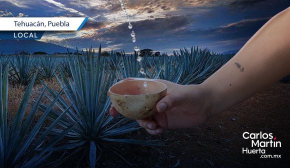 Tehuacán anuncia el FescalTH con la participación de 15 expositores de mezcal
