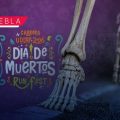 UDLAP anuncia la carrera nocturna "Día de Muertos Run Fest 2026"