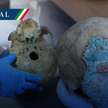 Regresa a México cráneo prehispánico mixteco tras permanecer 60 años en Europa