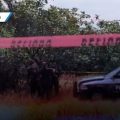 Desnudo y con mordidas de perros, localizan cuerpo en la autopista Puebla-Orizaba
