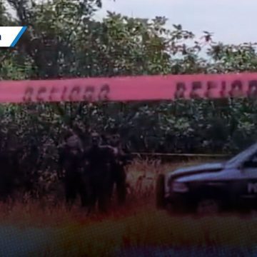 Desnudo y con mordidas de perros, localizan cuerpo en la autopista Puebla-Orizaba