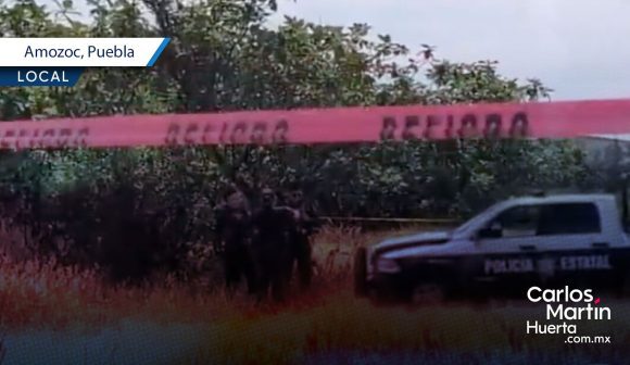 Desnudo y con mordidas de perros, localizan cuerpo en la autopista Puebla-Orizaba