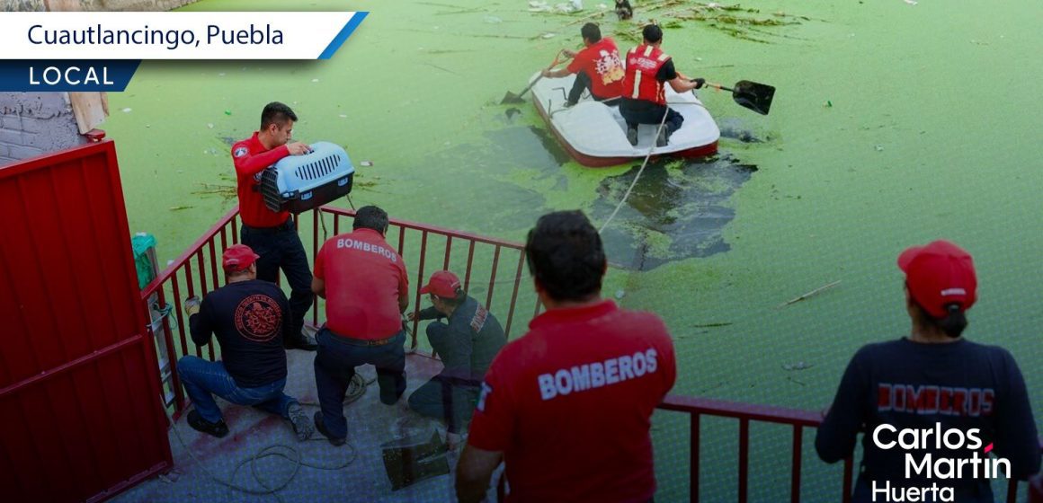 Bomberos rescatan perro atrapado en el vaso regulador de Cuautlancingo