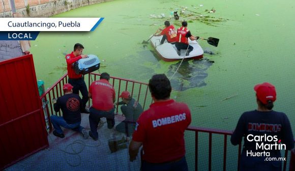 Bomberos rescatan perro atrapado en el vaso regulador de Cuautlancingo