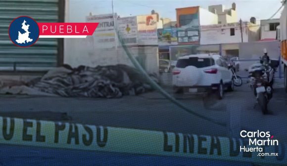 Por picadura de alacrán, muere hombre en la Central de Abasto