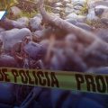 ¡En los huesos! localizan cuerpo en avanzado estado de descomposición en Jopala