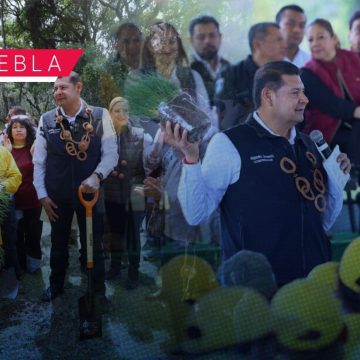 Jornada de Reforestación planta 177 mil 950 árboles nativos y endémicos en bosques de Puebla
