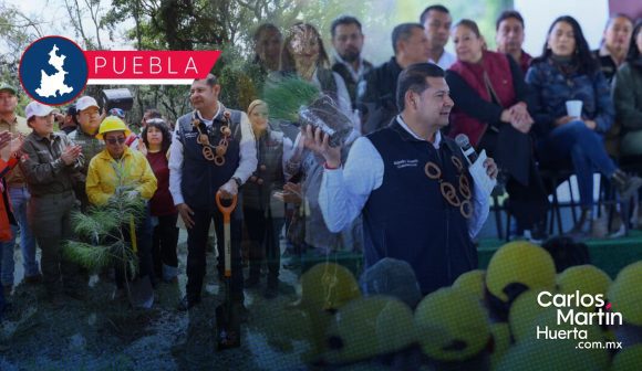 Jornada de Reforestación planta 177 mil 950 árboles nativos y endémicos en bosques de Puebla