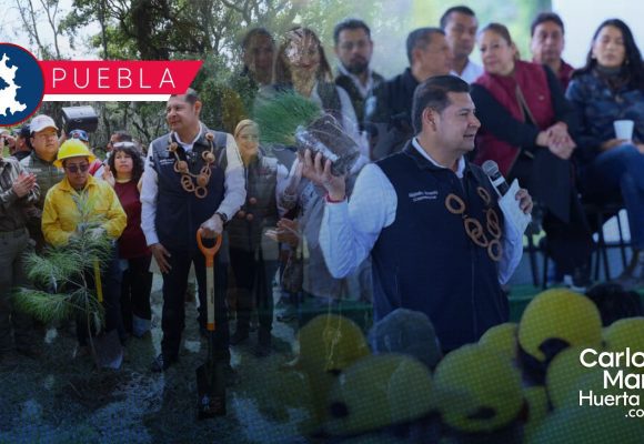 Jornada de Reforestación planta 177 mil 950 árboles nativos y endémicos en bosques de Puebla