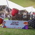 Arranca la 7.ª Edición de la Feria de las Berries 2026 en Huejotzingo