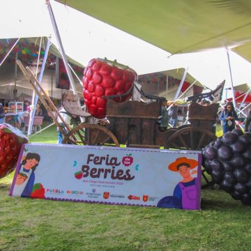 WhatsApp Image 2026-08-20 at 7.00.45 PM Arranca la 7.ª Edición de la Feria de las Berries 2026 en Huejotzingo