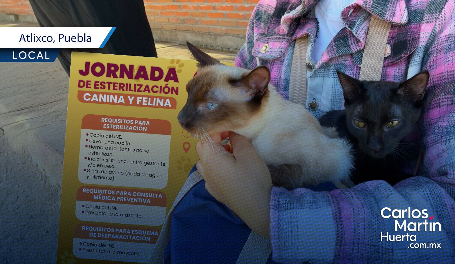 Anuncian nueva Jornada de Esterilización para perros y gatos en Atlixco