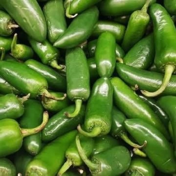 chile jalapeño Autoridades investigan posible brote de salmonela en chiles jalapeños de exportación