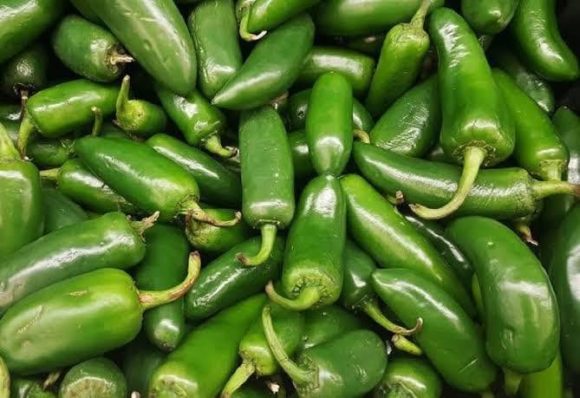 Autoridades investigan posible brote de salmonela en chiles jalapeños de exportación