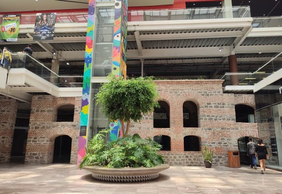 PLAZA SAN FRANCISCO Plaza San Francisco avanza hacia su renovación con proyecto de Grupo Carso
