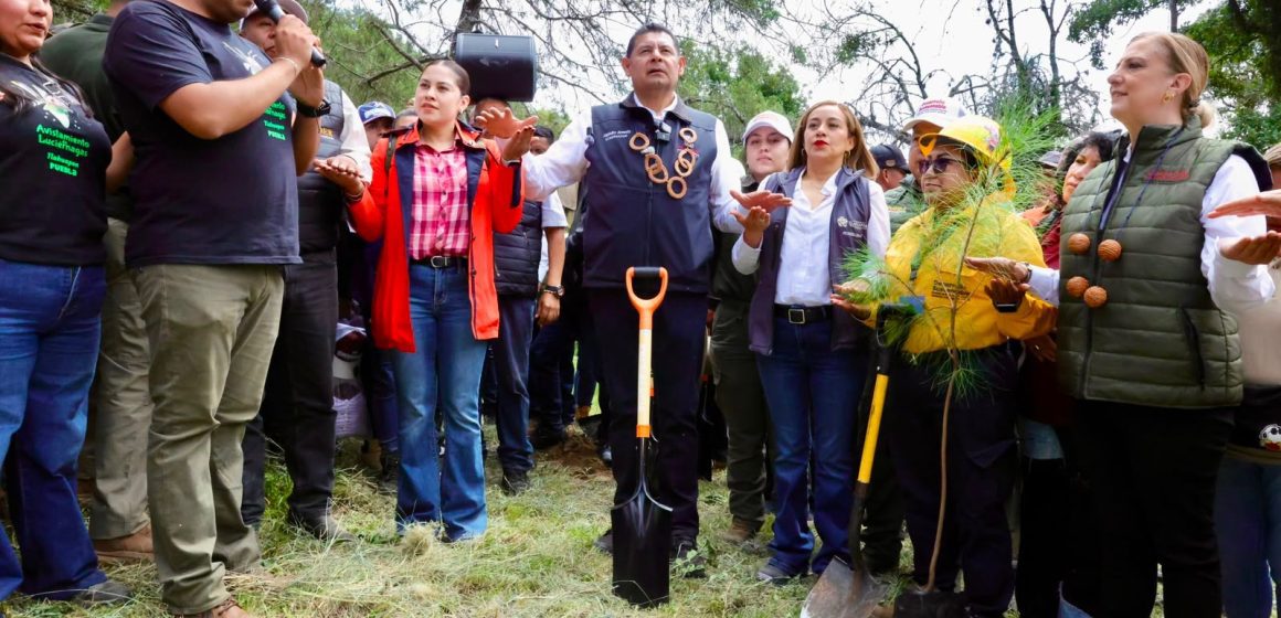 segundas5 Puebla Avanza en el Rescate de Cuencas y Reforestación con una Meta de 2 Millones de Árboles