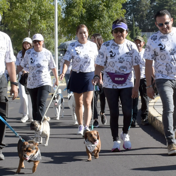 CAETO BUAP cumple 4 años: brinda más de 9 mil terapias asistidas con perros