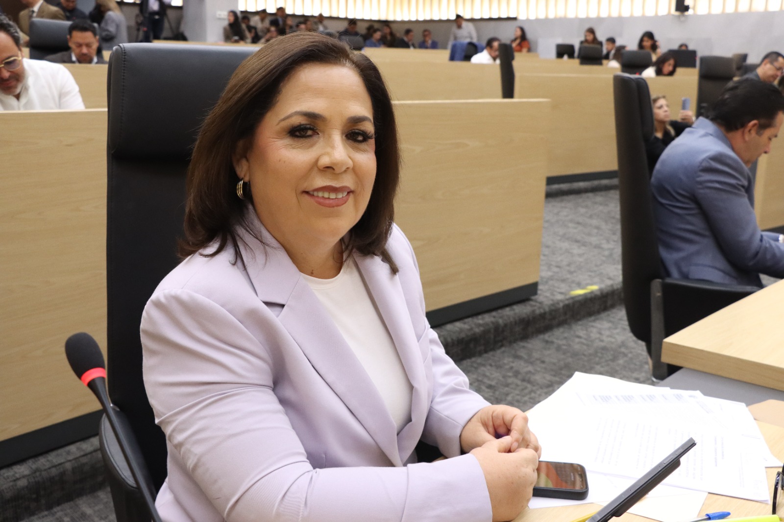 WhatsApp Image 2026-08-14 at 5.06.32 PM Diputada Soledad Amieva impulsa reformas para fortalecer la inclusión laboral de personas con discapacidad