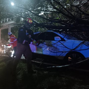 Lluvias en Puebla provocan caída de árboles y cierres viales