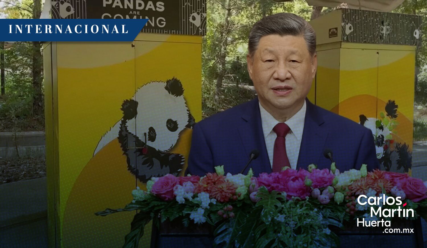Xi Jinping pandas De vuelta la “diplomacia del panda”: Xi Jinping enviará dos nuevos ejemplares a EE.UU.