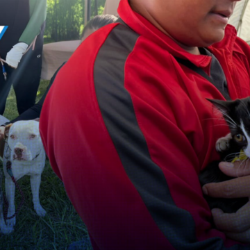 Atlixco inicia jornada de vacunación: Aplicarán 20 mil dosis a perros y gatos