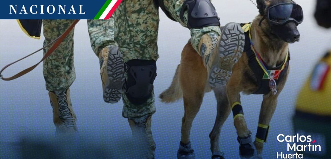 Se retira ‘Ahorro’, perro rescatista del Ejército, en el 60 Aniversario del Plan DN-III-E