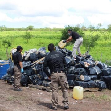 Asesta FGR golpe financiero de 648 millones de pesos con incineración de drogas en Colima