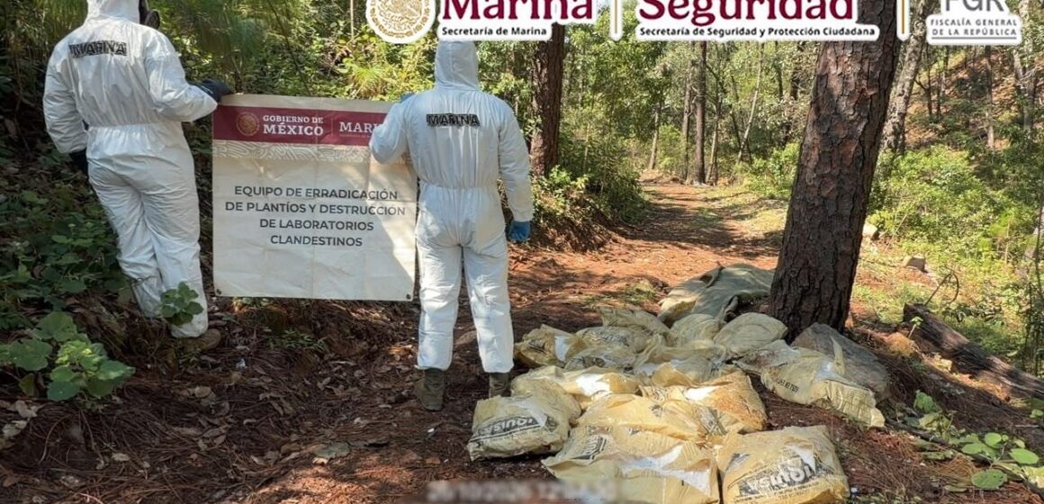 Gabinete de Seguridad inhabilita dos laboratorios de metanfetamina en Durango