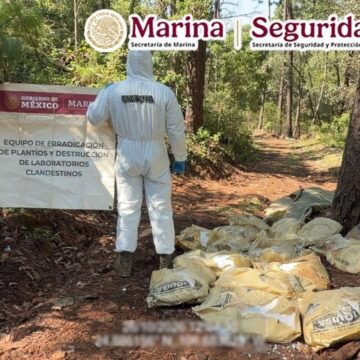 Gabinete de Seguridad inhabilita dos laboratorios de metanfetamina en Durango