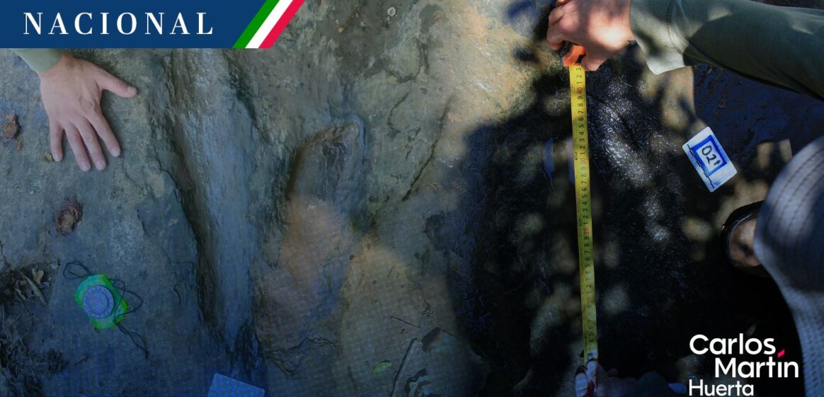 INAH confirma histórico hallazgo de 50 huellas de dinosaurio en Apatzingán