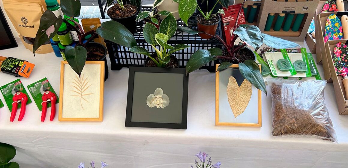 Llega el Plant Fest a San Pedro Cholula con más de 40 expositores