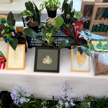 Llega el Plant Fest a San Pedro Cholula con más de 40 expositores