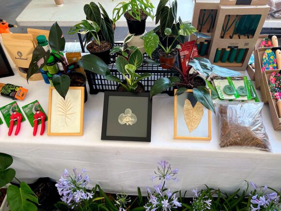 Llega el Plant Fest a San Pedro Cholula con más de 40 expositores