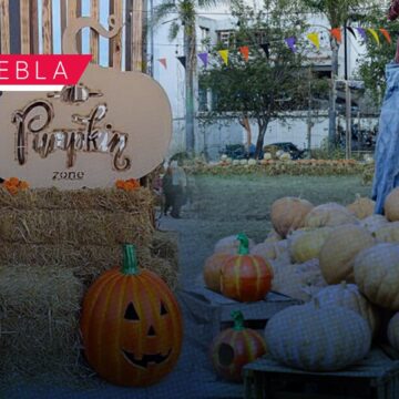Pumpkin Zone Puebla 2026- Todo lo que debes saber de su cuarta edición en Lomas de Angelópolis Pumpkin Zone Puebla 2026: Todo lo que debes saber de su cuarta edición en Lomas de Angelópolis