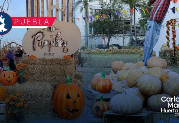 Pumpkin Zone Puebla 2026: Todo lo que debes saber de su cuarta edición en Lomas de Angelópolis